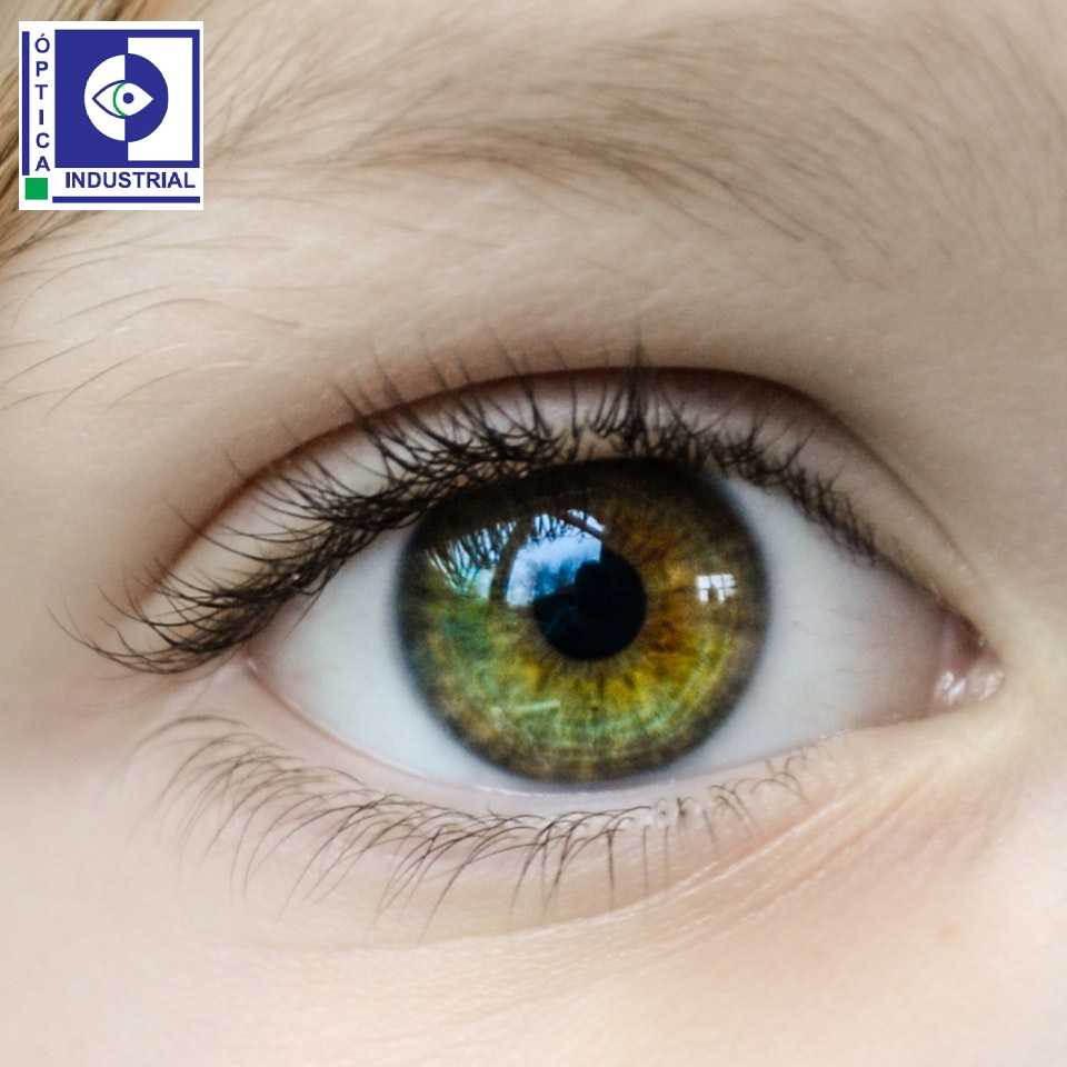 Lentes de contacto